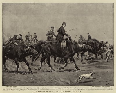 エジプトのイギリス人、カイロでのバッファローレーシング 作： Frank Dadd